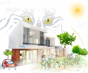 Introducere Alarma Casa Firma Brasov