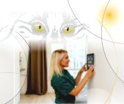 Montaj Alarma Casa Firma Brasov